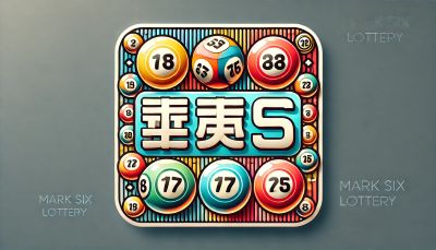 上海盛博飞网络科技有限公司